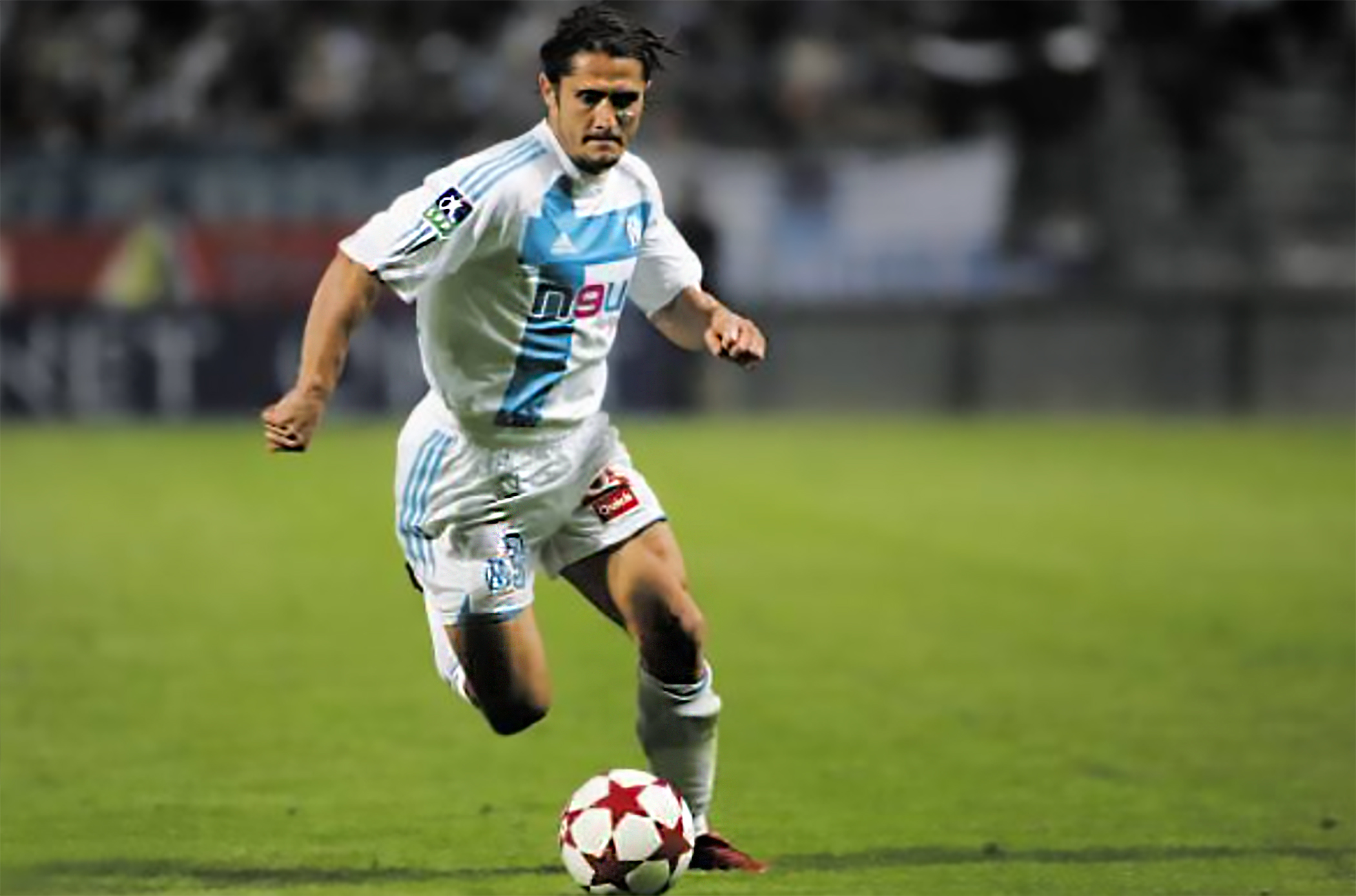 «αίλουρος» 