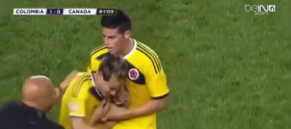 Λατρεία για Χάμες! (vid)