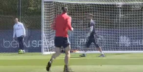 Τι γκολ έβαλες πάλι ρε Ζλάταν; (vid)