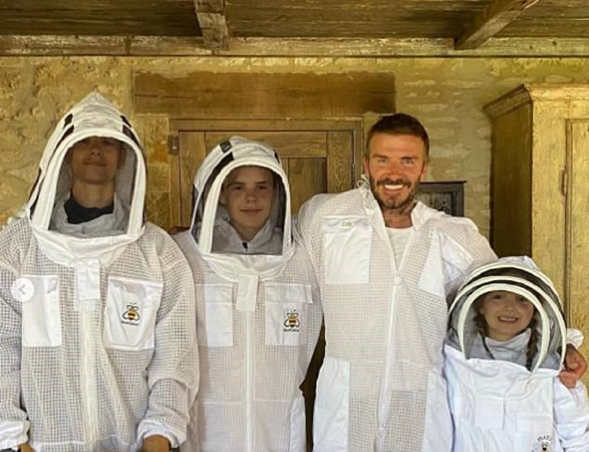 Ο Μπέκαμ το έριξε στη… μελισσοκομία! (pic)