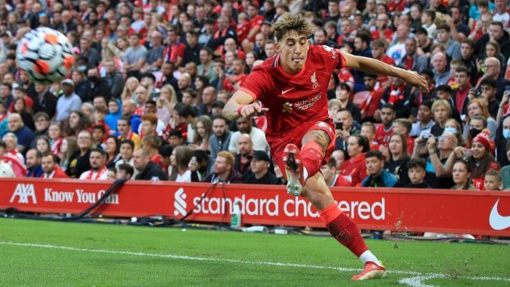 Στάζει… μέλι του Τσιμίκα το κόρνερ! (vid)