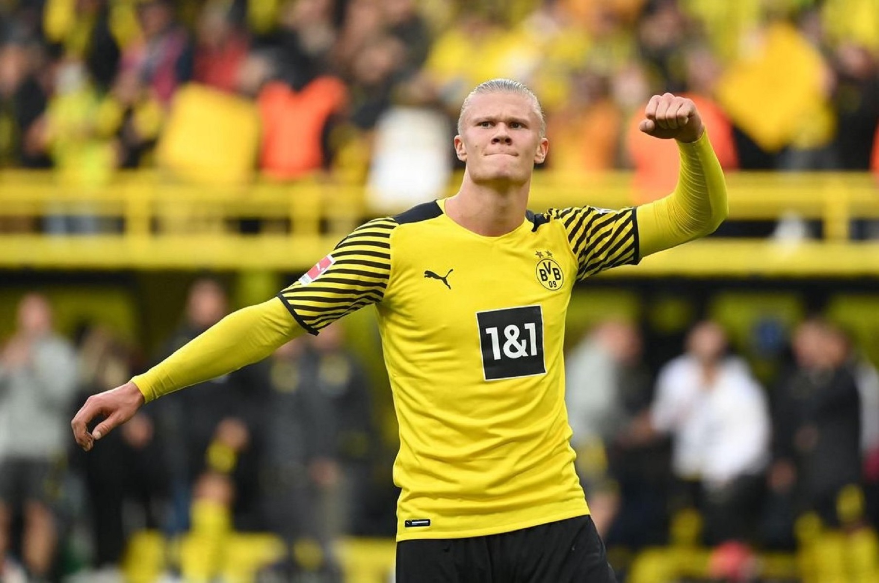 O Χάαλαντ βλέπει την «αλεπού» της Premier League και παίρνει… τσάμπα μαθήματα!