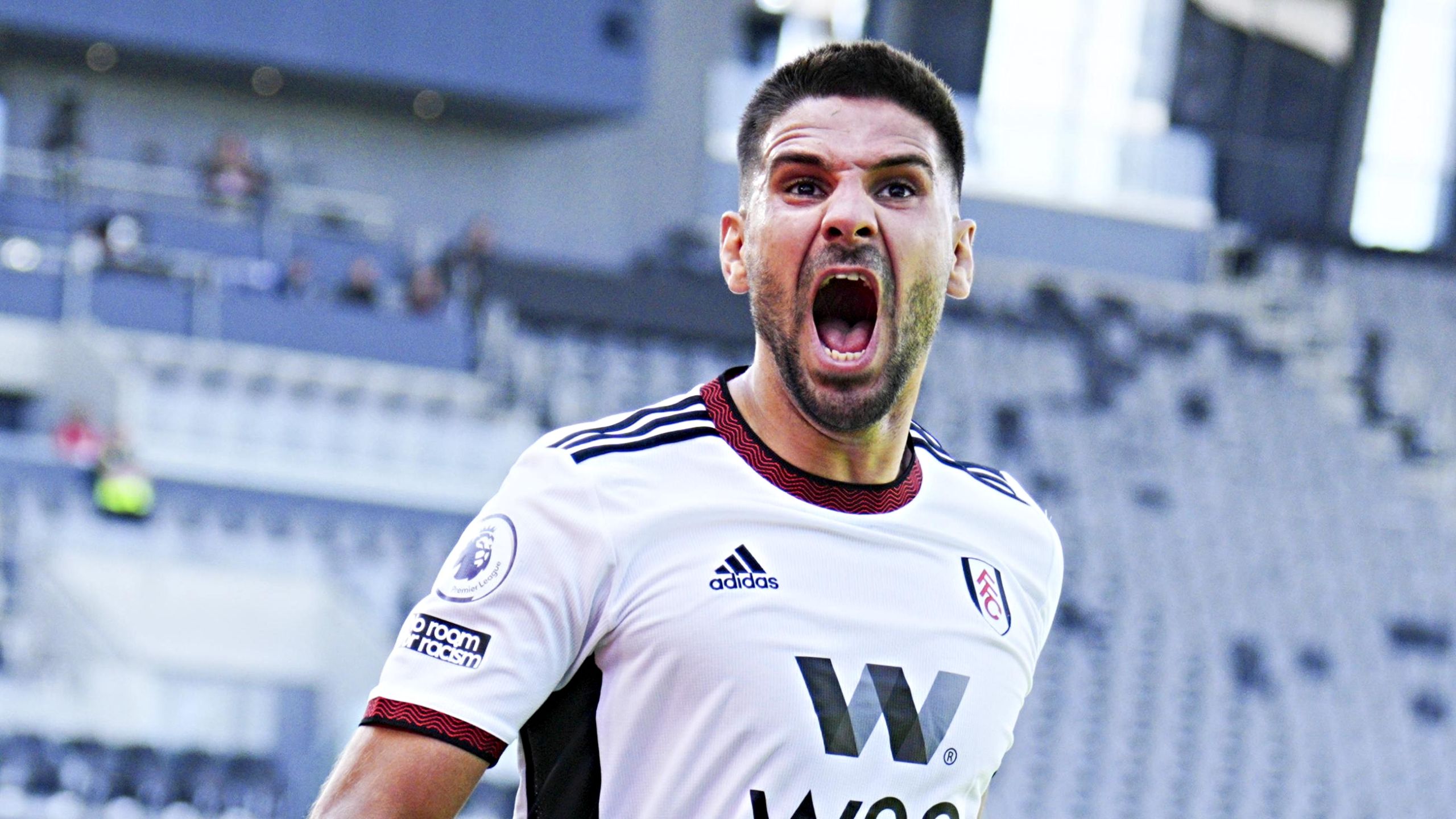 Ο εγκληματικά υποτιμημένος κύριος Μίτροβιτς!