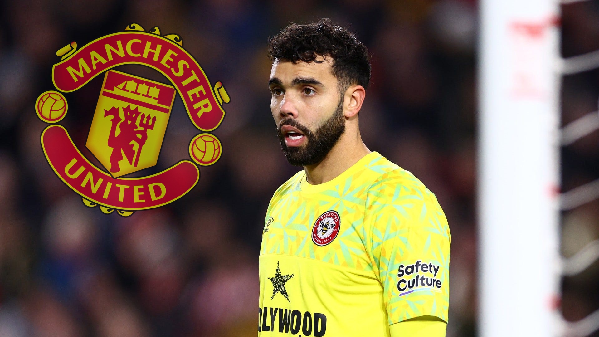 «Τσιμπάει» μια… «σφήκα» για τα γκολπόστ η Γιουνάιτεντ! (vid)