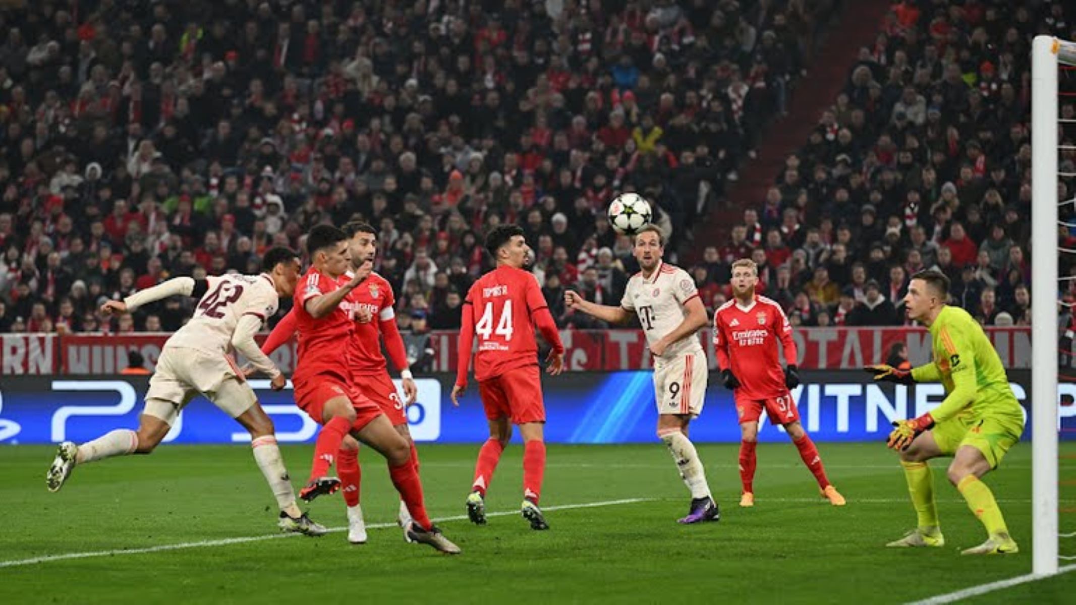 Με… καταπέλτη Μουσιάλα έσπασε το τείχος της Μπενφίκα (vid)