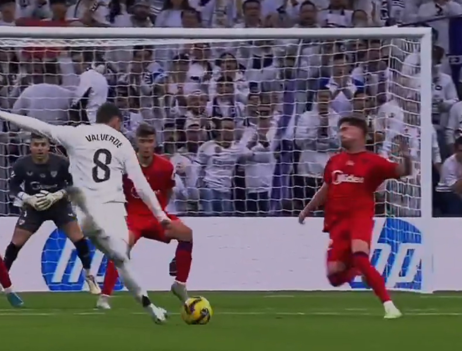 Ο Αντσελότι… τρελάθηκε στη γκολάρα του Βαλβέρδε (pics)