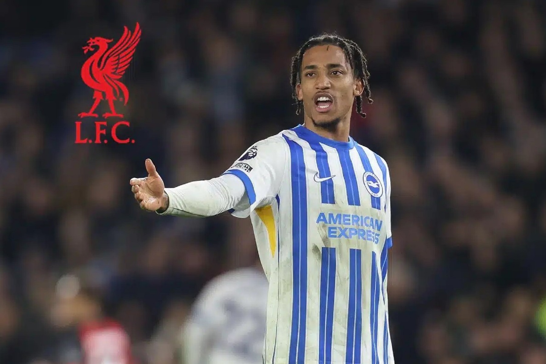 Η Λίβερπουλ βρήκε στην Μπράιτον τον επιθετικό που της λείπει!