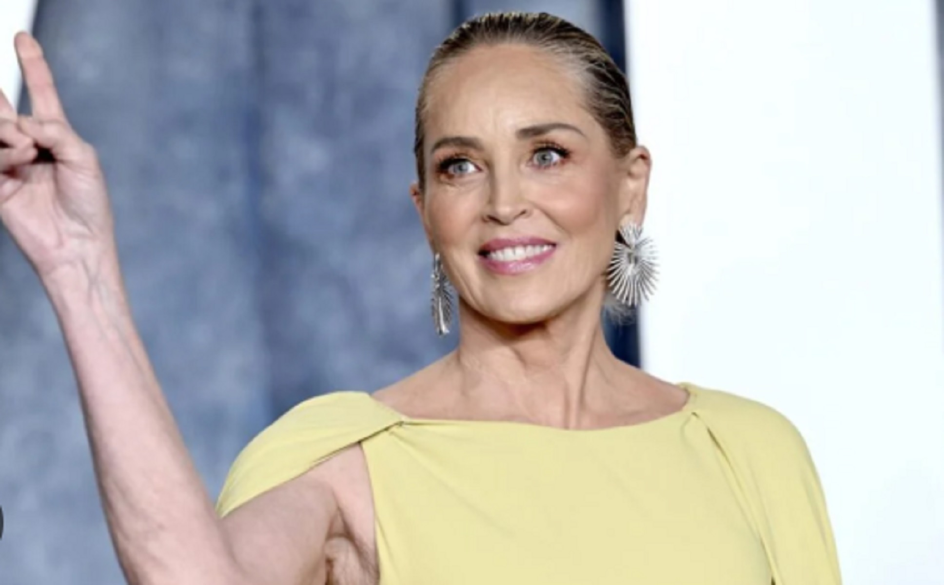 Στην Ελλάδα η Σάρον Στόουν (vid)