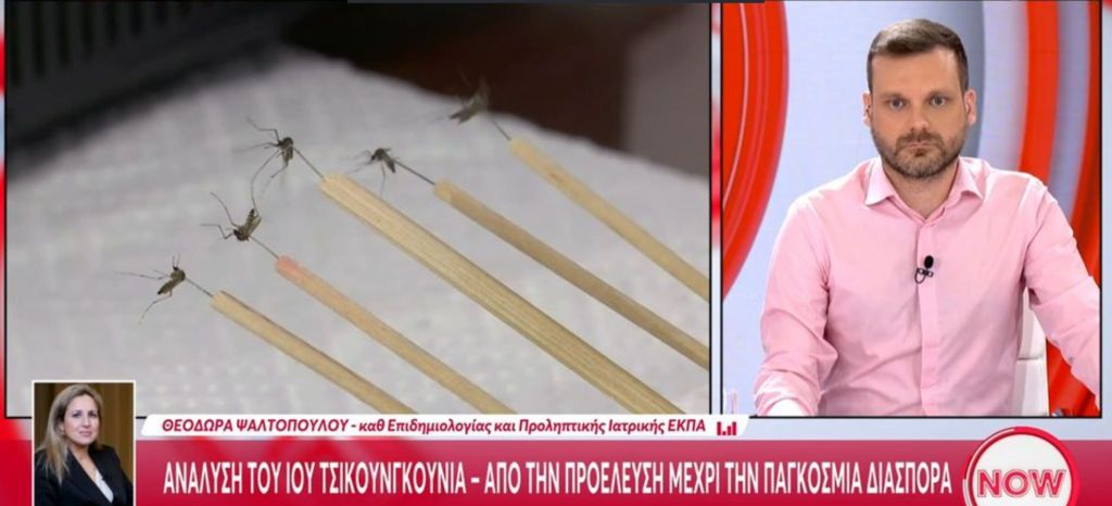 Κίνα: Συναγερμός για τον ιό Τσικουνγκούνα – Έως και 7.000 κρούσματα (vid)