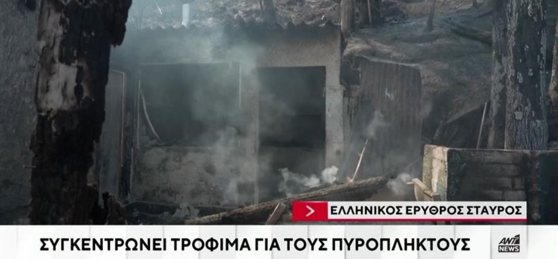 Ελληνικός Ερυθρός Σταυρός: Συγκεντρώνει τρόφιμα για τους πυρόπληκτους (vid)