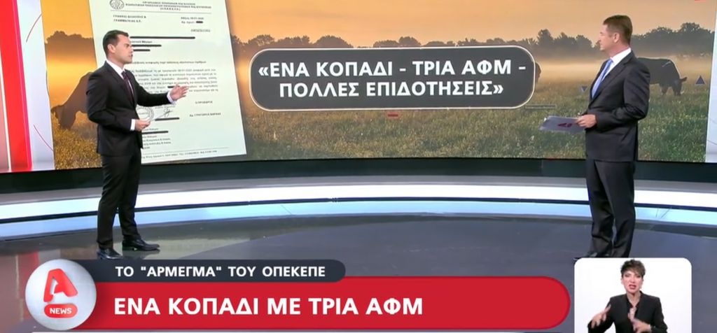 ΟΠΕΚΕΠΕ – Ντοκουμέντο Alpha: Με ένα κοπάδι υπήρχαν τρία ΑΦΜ που έπαιρναν ευρωπαϊκές επιδοτήσεις (vid)